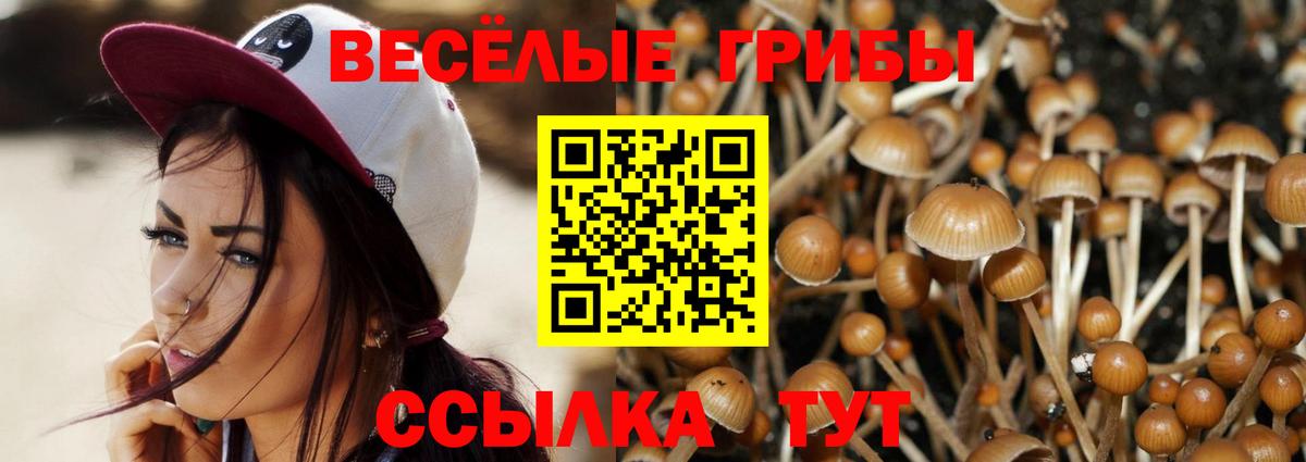 Галлюциногенные грибы GOLDEN TEACHER  Псилоцибиновые грибы Magic Shrooms  Заинск  Вход с VPN 